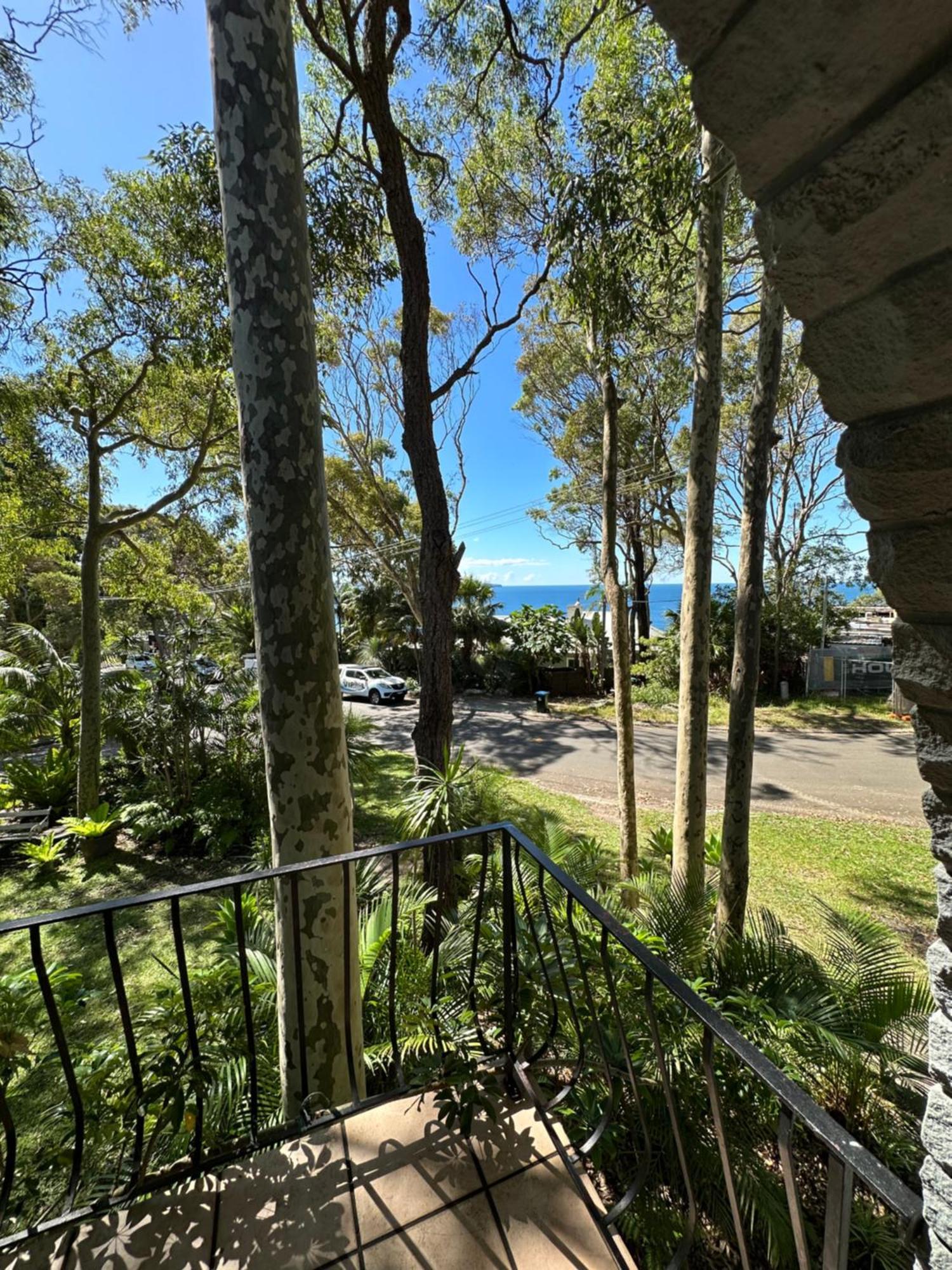 Palm Beach Bed & Breakfast Екстер'єр фото