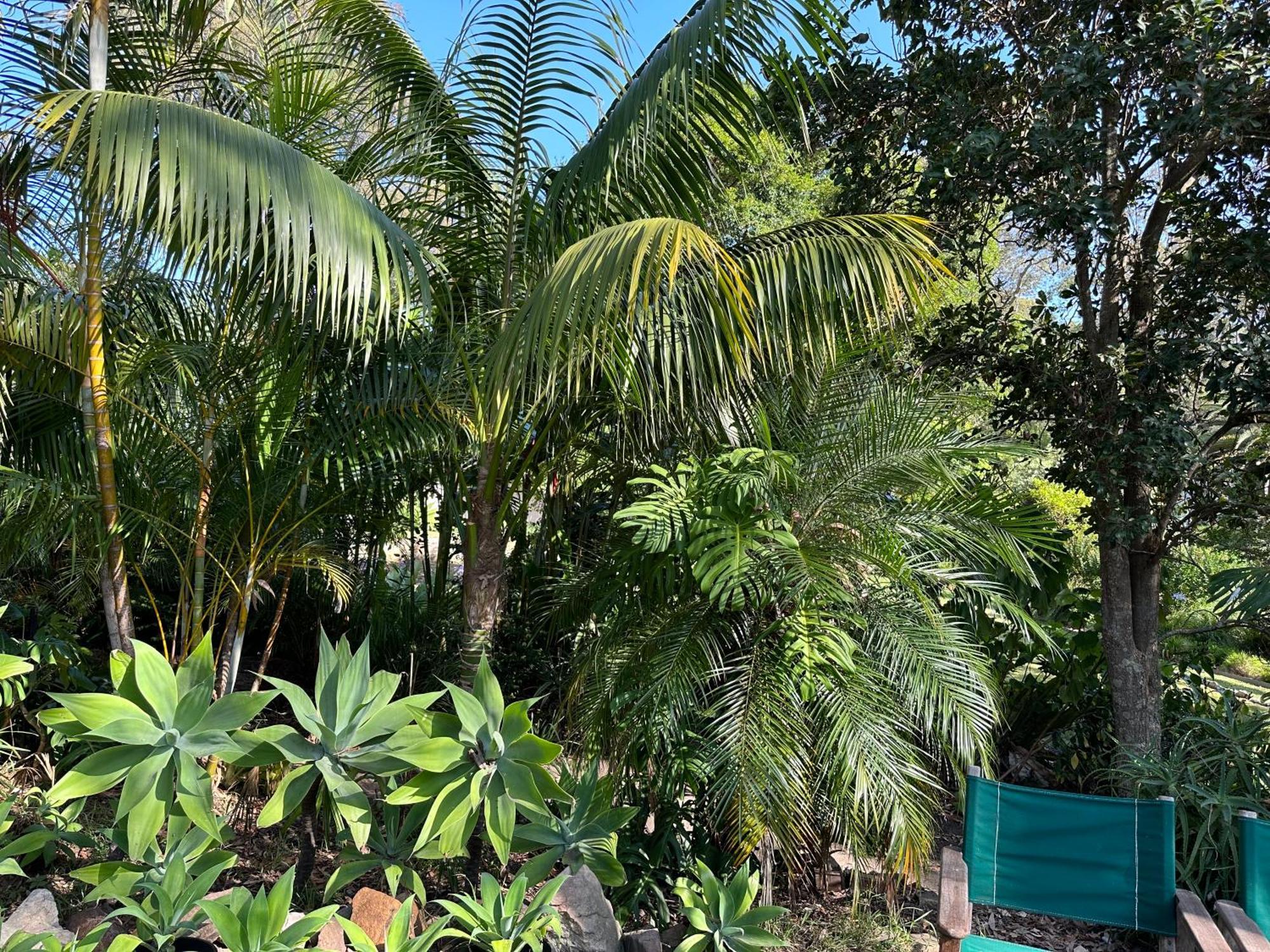 Palm Beach Bed & Breakfast Екстер'єр фото
